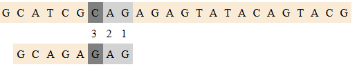 BMexample2.png