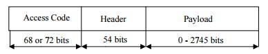 Bt packet.jpg