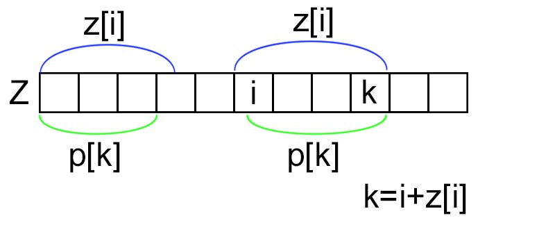 ZP2.jpg