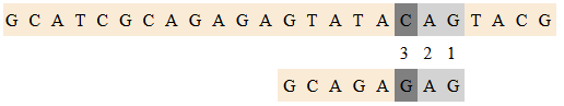 BMexample4.png