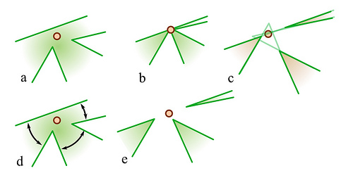 Skeleton chain2.jpg