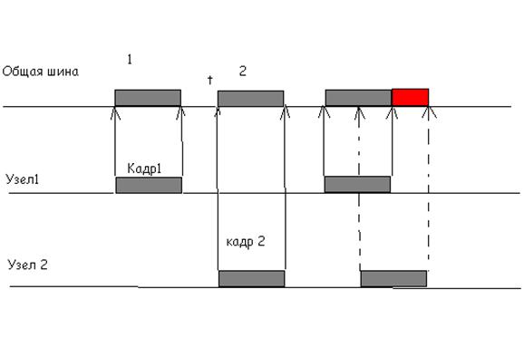 Ethcollis.jpg