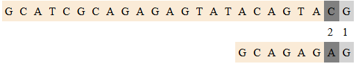 BMexample5.png