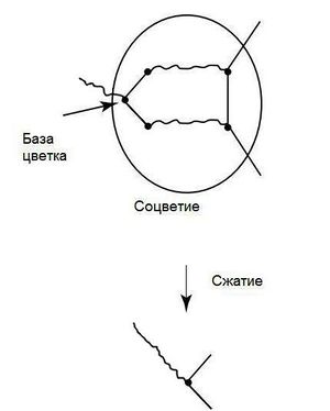 Рис. 1