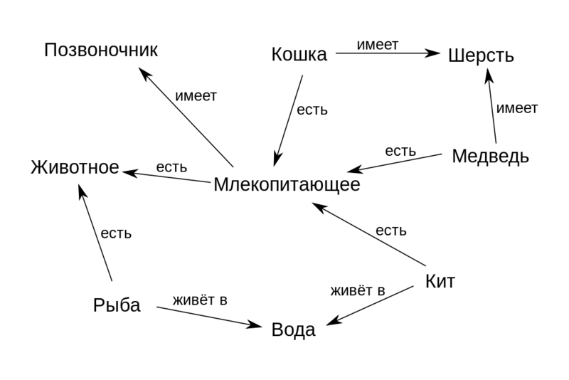 Файл:Semantic network.png