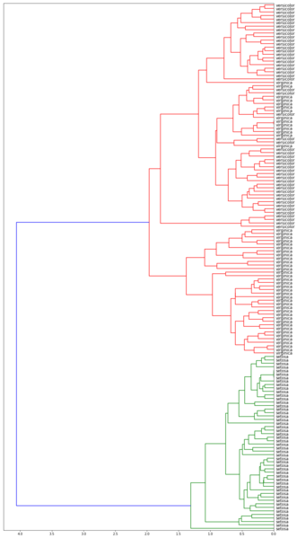 Файл:Hierarchy avg.png