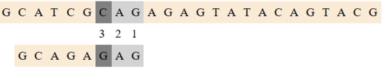Tbme2.PNG
