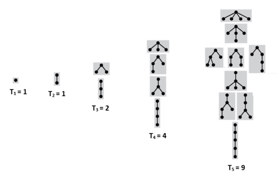 Rooted Trees.png