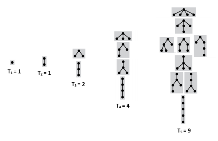 Rooted Trees.png