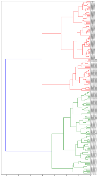Файл:Hierarchy max.png