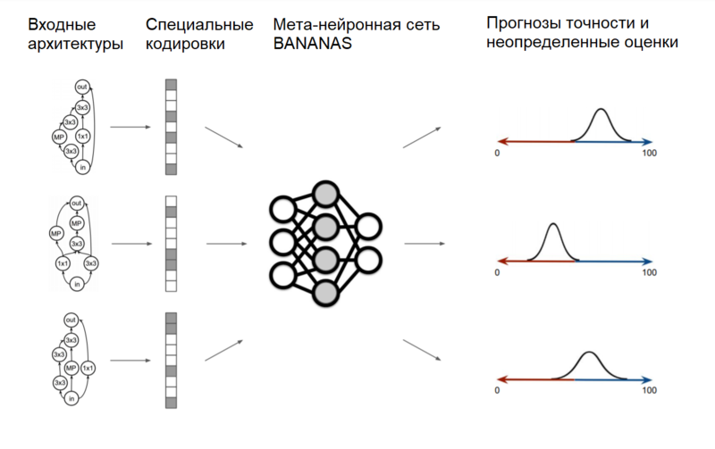 Файл:BANANAS alg rus.png