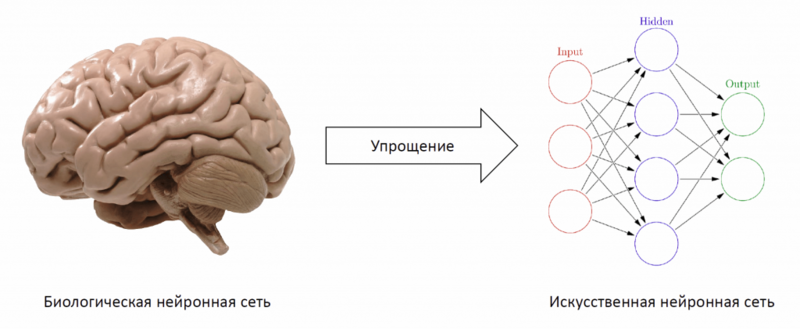 Файл:Нейронная сеть.png
