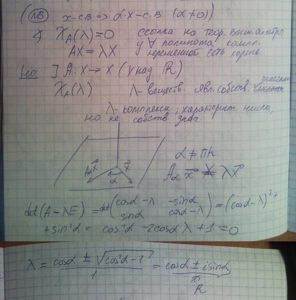 Файл:File20130611.jpg