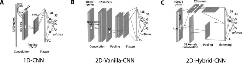 Файл:Gene expression based cnn.jpg