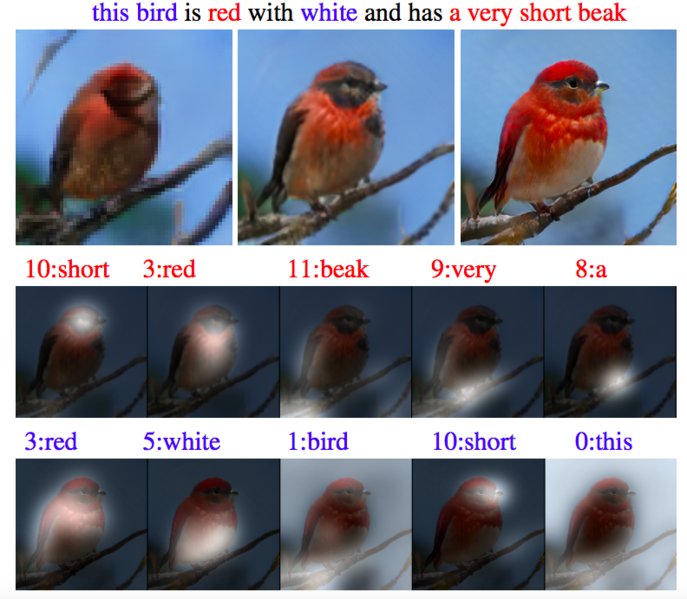 Файл:Attngan bird.png