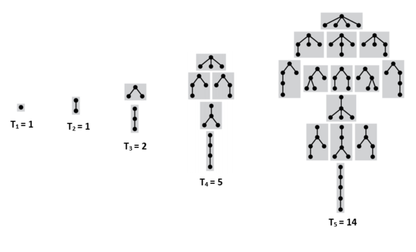Ordered Rooted Trees.png